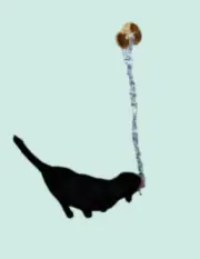 Bungee Bounce Feather Toy - Door Hanging Cat Toy by Porter's Mouse