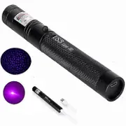 Handheld Lasers Pointer Pen Lightweight Lasers Pointer for Presentations Blue Purple Light