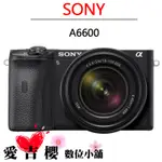 SONY ILCE-6600M 18-135MM 單鏡組 公司貨 微單 6600M A6600 α6600 索尼