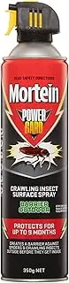 Mortein Powergard Crawling Insect Surface Spray Barrier Outdoor, 350g