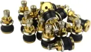 Pack of 50 TR575 1-1/8" Brass Clamp-in Tubeless Tire Truck Valve Stem