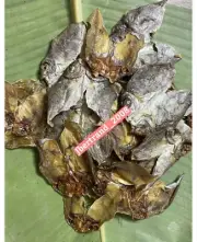 Dried Fish Bulad Unsalted Danggit From Cebu Bantayan 100g Buy 5 Get 1 Free