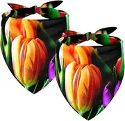 2 Pack Owner and Dog Bandana Set, Pet's Mom/Dad Bandana or Scarf Set, Family Matching Bandanas, Colored Tulips Mother's Day