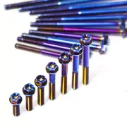 2pcs Titanium Screws Bolts Burn Blue M6 x 15/20/25/30/35/40 - 95/100/110/120mm