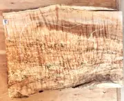 Figured 5A Spalted Maple Wood 1193 Luthier One pc. Guitar Body 25x 19x 3+