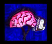 Krash 3D MOHAWK Bike And Skate Helmet Youth (8+) 8-14yrs (54cm-58cm) PINK/black