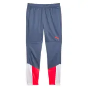 Puma Mens IndividualCUP Football Training Pants
