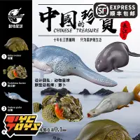 在飛比找露天拍賣優惠-【TYCTOYS】現貨動物星球的珍寶長江2長江江豚斑鱉白鱘鬆