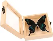 NOLITOY 3 Sets Wooden Display Box for Butterfly Specimen Office Specimen Specimen Pendant Dec