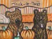 SAINT MIGUEL CATTLE DOG Halloween Original 9x12 Pastel Painting by Artist KSams
