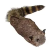 Funny Spoof Raccoon Bear Professional Magic Kits Props for Magic Enthusiasts