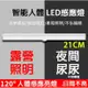 【台灣現貨】磁吸感應式燈管 小夜燈 警示燈 超廣角LED  21cm便攜 鋁合金 充電式 露營燈 夜燈 手電筒 照明燈管