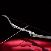 30-70 Lbs Recurve Bow 60 Inch Hunting Bow With Metal Standpipe Longbow Arrow