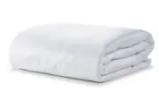 Ella Jayne Allergy Free Zipper Mattress or Box Spring Encasement - Queen