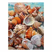 Scallop Canvas Print