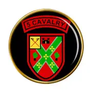 5th Cavalry Squadron (Irish Army) Pin Badge