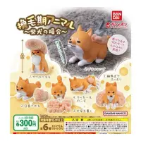 在飛比找蝦皮購物優惠-【扭蛋小王子】全新現貨 萬代 BANDAI  換毛動物 柴犬