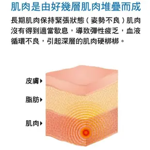 【易利氣 官方直營】磁力項圈 EX(藍 50cm)