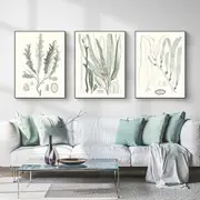 Sage Green Seaweed 3 sets Poster Wall Art