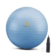Exercise Ball for Balance Stability Fitness 17.7 inch & 45 cm Pale Gray