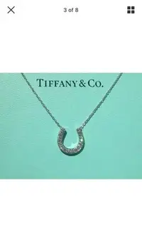 在飛比找Yahoo!奇摩拍賣優惠-Tiffany&Co 馬蹄鑽石鉑金項鍊《限時降價4萬5千元》