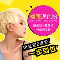 在飛比找樂天市場購物網優惠-染髮(套餐二)韓國進口LPP退色漂粉400g+雙氧奶+頭皮隔
