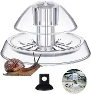 1 Piece Clear Snail Trap - Plastic Aquarium Snail Trap for Fish Tank Clear Snail