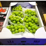 😍日本山形空運來台✈️嚴選 頂級-《麝香葡萄 》🍇粒粒大顆香甜🤤免運優惠中🚛