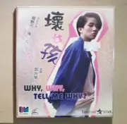 電影 Why, Why, Tell Me Why 壞女孩 VCD 梅艷芳 Anita Mui 陳友 上山安娜 黎彼得 new sealed Hong Kong