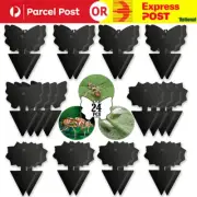 24x Black Double-Sided Sticky Trap Insect Indoor Whitefly Thrip Fruit Fly Gnat