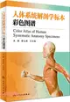 人體系統解剖學標本彩色圖譜（簡體書）