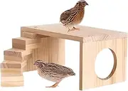 Hamster Platforms | Wooden Hamster Toys | Pet Enrichment Exercise Activity Toy for Dwarf Guinea Pigs Chinchillas Mice