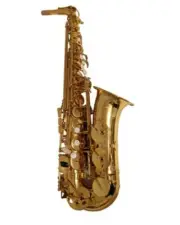 The Growling Sax TGS Avant-Garde Series Alto Saxophone Intermediate Gold Lacquer