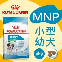 在飛比找Yahoo!奇摩拍賣優惠-[快夏丹] 法國皇家 MNP MNPP APR33 小型幼犬