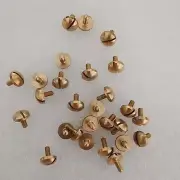 50 pcs French Horn Euphonium Baritone Tuba repair part screws Piston screw