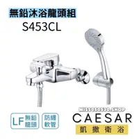 在飛比找蝦皮購物優惠-CAESAR 凱撒衛浴 蓮蓬頭 S453CL  蓮蓬頭 沐浴