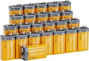 Amazon Basics 9 Volt Performance All-Purpose Alkaline Batteries, 5-Year Shelf Life, Easy to Open, Packaging May Vary - 24 Counts