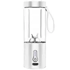 530ML Electric Juicer Portable Smoothie Blender USB Rechargeable Food5424