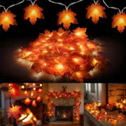 2 Pack Thanksgiving Maple Leaf String Lights, Total 20FT 40 LED Battery Operated