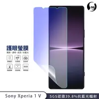 在飛比找蝦皮商城優惠-【護眼螢膜】Sony Xperia 1V 10 V 抗藍光 