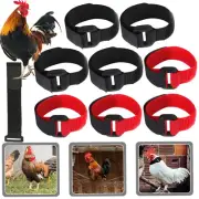 Anti Crow Collar For Roosters Cockerel poultry No Crow Noise Nylon Neck Belt AU