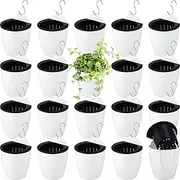 Yungyan 20 Sets 5" Self Watering Hanging Planter White Lazy Flower Pots Plastic Wall Planters Propagation Window Wall Mount Planter with Hooks and Absorbent Cotton Ropes for Indoor Succulent Plants