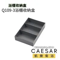 在飛比找蝦皮購物優惠-Caesar 凱撒衛浴 浴櫃收納盒 抽屜收納盒 收納盒 Q1