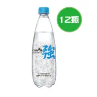 在飛比找蝦皮購物優惠-泰山 Cheers EX 強氣泡水 12瓶(500ml/瓶)