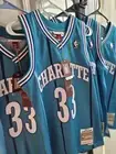 Alonzo Mourning 92-93 Small Mitchell And Ness Swingman Jersey 100% Authentic