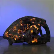 240g Natural Yooperlite saber-toothed tiger Skull Reiki Quartz Crystal Skull Dec