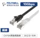 POLYWELL CAT6A扁線 1m 2m 3m 5m 7m 10m 15m 20m 高速網路線 RJ45 福祿克