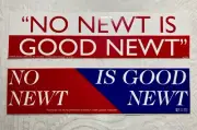 Lot 2 Vintage NO NEWT IS GOOD NEWT Bumper Stickers MO Young Dems Anti Gingrich