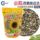 《寵物鳥世界》台灣製 Canary 荷蘭優質小粒葵瓜子(300g)│天然零嘴點心 鸚鵡 鼠 倉鼠 黃金鼠 GS032