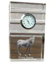 Giara Horse Dreistreifige Watch With Horse Art-Dog